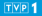 logo-tvp1